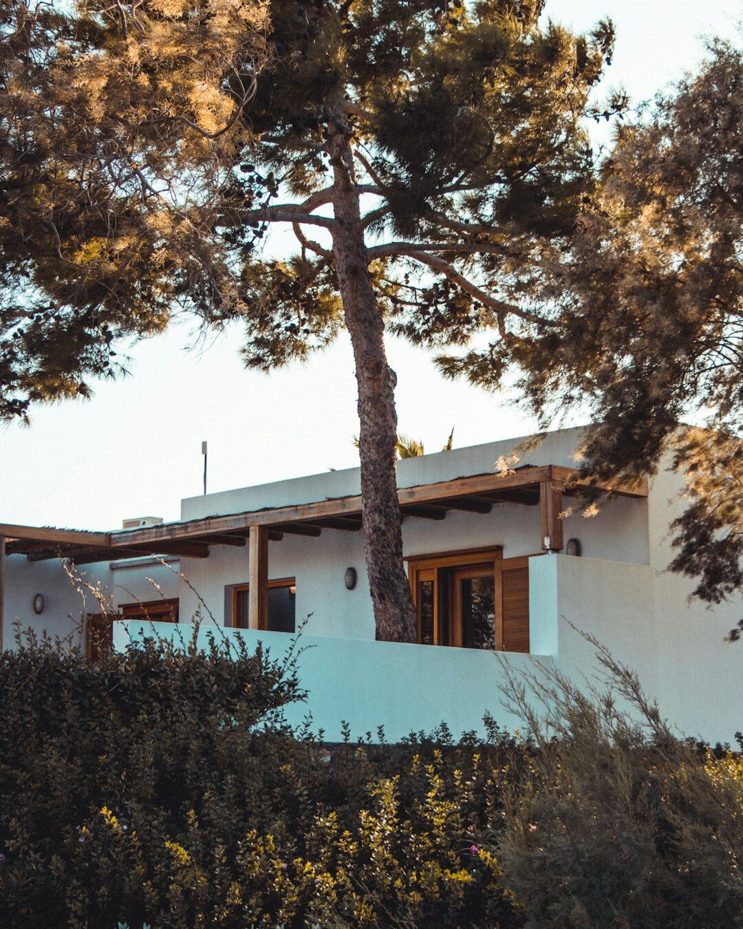 Facade of a minimalist concrete and wood villa surrounded by pine trees